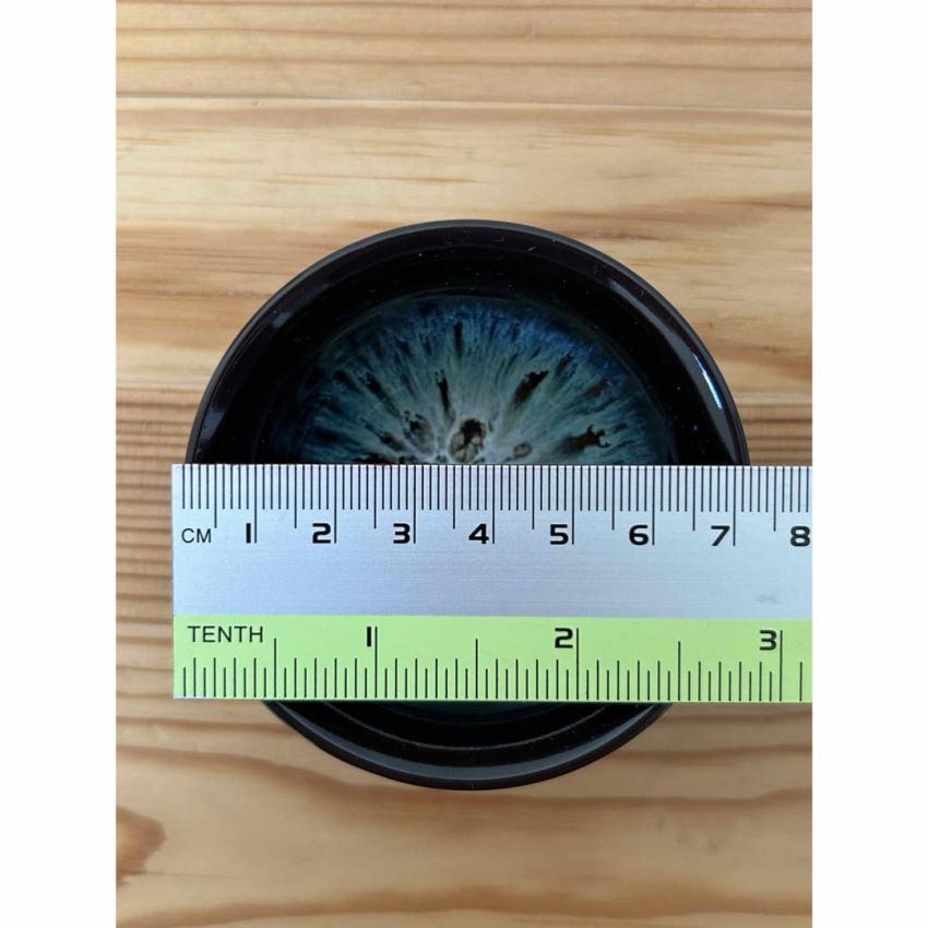 Kiln Hen Tenmoku Glaze Tea Cup