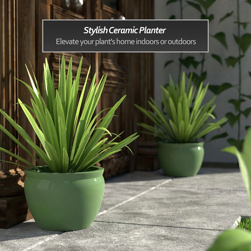 Red Lantern BW-12FISH-CEL Fishbowl Planter, 12